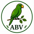 Akhtar Birds Vlogs