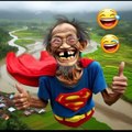 THE FUNNY ZOO DAILY DOSS