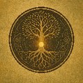 Ancestral Wisdom