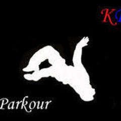 Sorin_pk