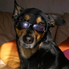 Schumch skunk skrunch