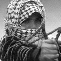 daweed87