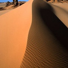 bossalgerino