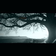 Parkour-Videos