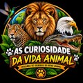 As curiosidades da vida animal