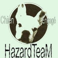 HazardTeam