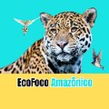 EcoFocoAmazônico