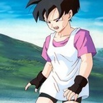 videl95