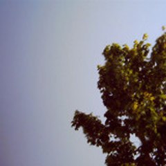 ZeBeautiful