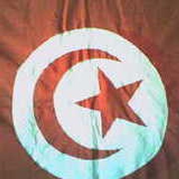 le tunar