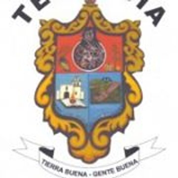 vega vidal