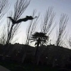 Jose Gago