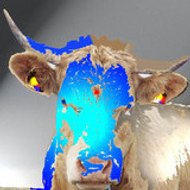 isma ruggiero & gui durieux