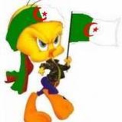karim932320