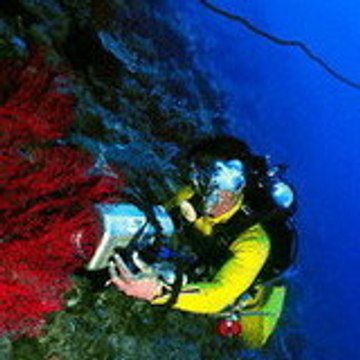 Bali International Diving Professionals