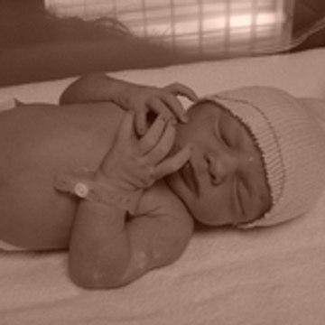 PIETRI--ROY Angélina