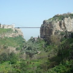 djamel allal