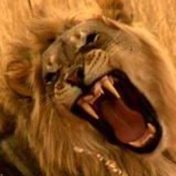 Jouan-le Chanony Thierry