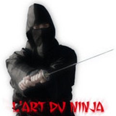 Le Ninja