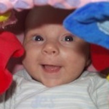 teddydiddl
