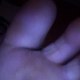 anitale