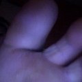 anitale