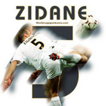 ..............................