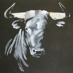 Bull