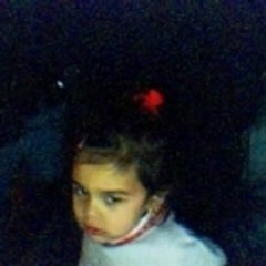 gitanoambrosi