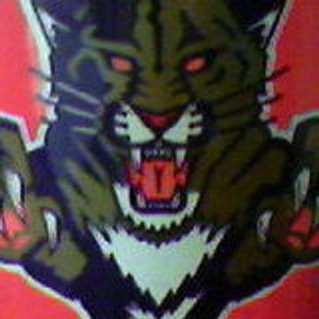 blackwarrior36