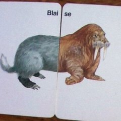 Blaise C.