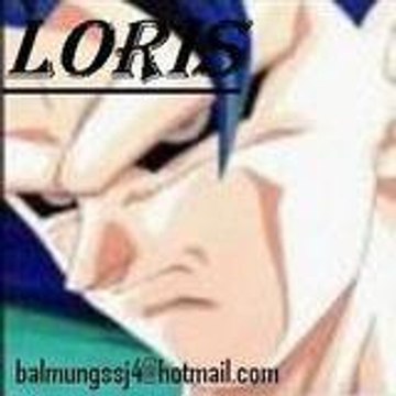 loris