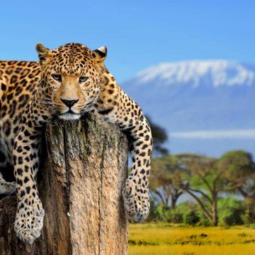 MARIA INÊS mARIA iNÊS tEIXEIRA DE qUEIROZ aGUIAR