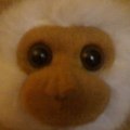 Mr_CaNaRD