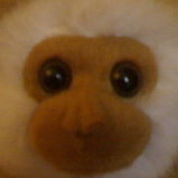 Mr_CaNaRD