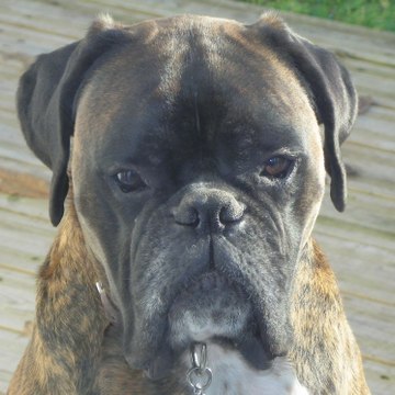 Jean Jacques KERLOCH