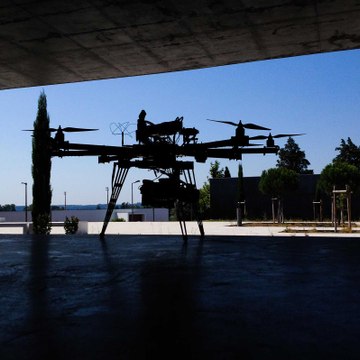 Dragonflyphotography