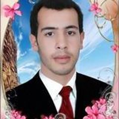 hamedi