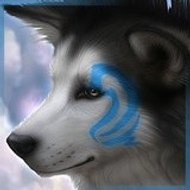 Thunder_the_wolf