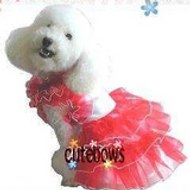 regina, maymind, zero