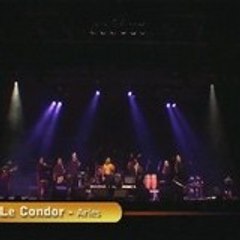 condor13