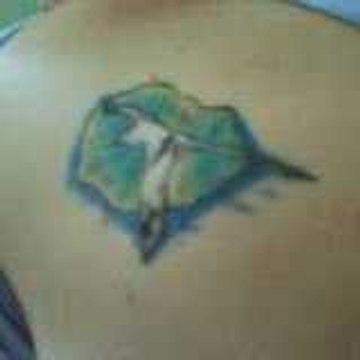 Djumbo07
