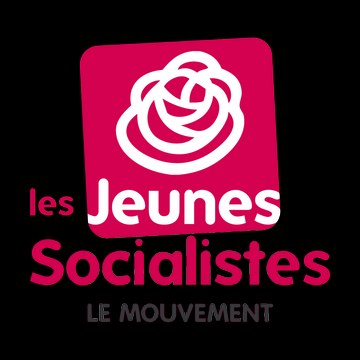 Mouvement des Jeunes Socialistes