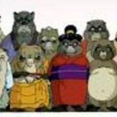 tanukis
