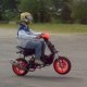 evo-spitro