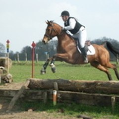 xhorse81