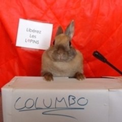 lemmywinks2
