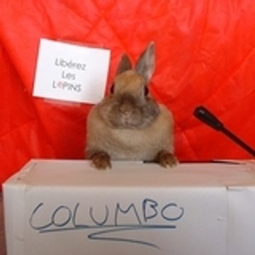 lemmywinks2