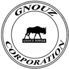 Gnouz Corporation
