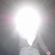 Casimir778